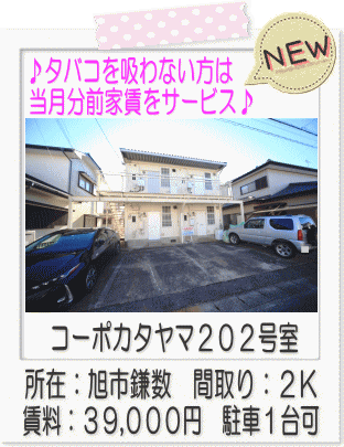 コーポカタヤマ２０２号室