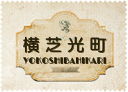 ���Ō����̒��ÏZ��E�s���Y����